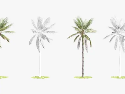 8 Model Coconut Tree with looped wind animation Low-poly 3D model