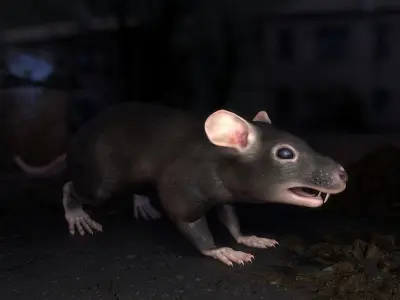 Common Rats Low-poly 3D model