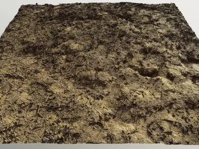 autumngrassdirt06102024 3D model