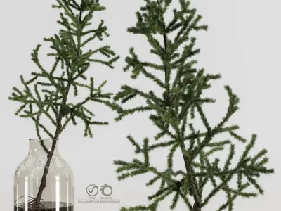Collaction Plants Bouquet 20 pine  3D model