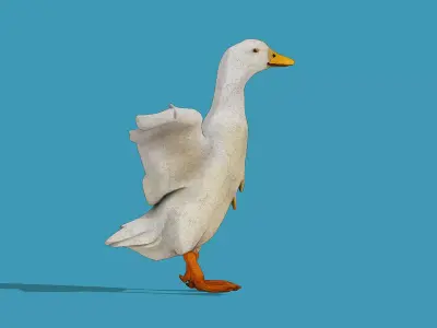 White Duck Low-poly 3D model