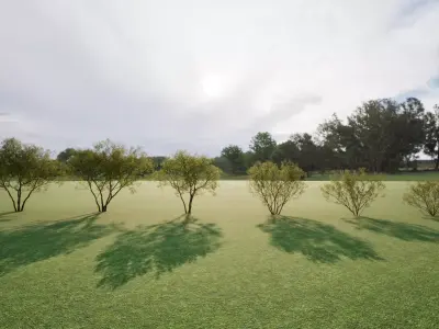 Twinmotion assets Amorpha fruticosa  3D model