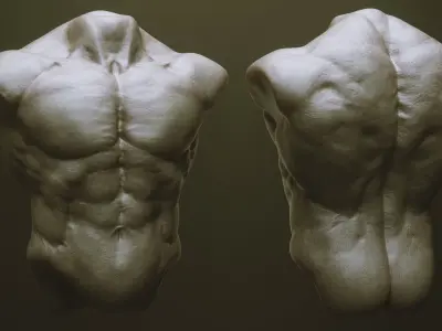 TORSOS - 33 Character and Creature Insert meshes and OBJs 3D model