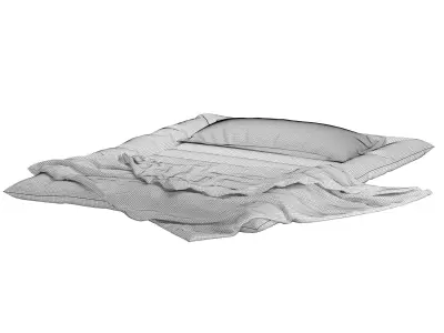 Floor Bed 3D model