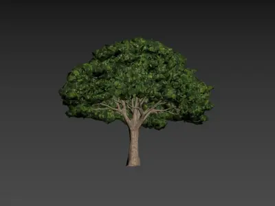 Low Poly Tree Stylish Low-poly 3D model