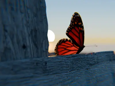 Sea Shore Low-poly 3D model