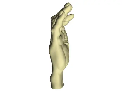 Male Hand 3D print model