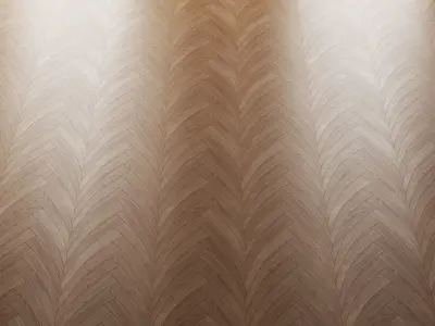 Chevron Venus By Carresol Editions   Texture