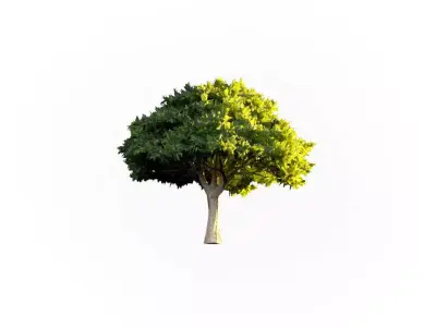 Low Poly Tree Stylish Low-poly 3D model