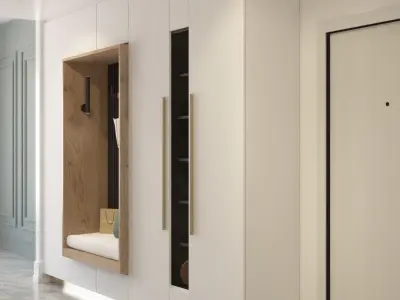 Entrance closet 3D model
