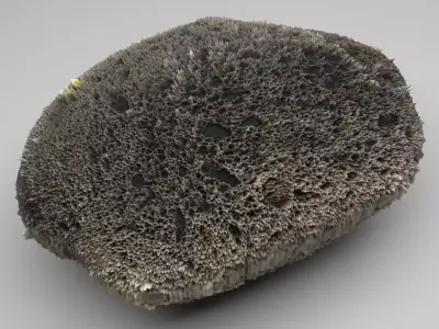 Sponge Rock 3D model