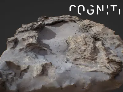 Iceland Tidal rocks 3D model