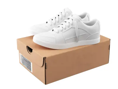  Shoe Box with Sneakers 