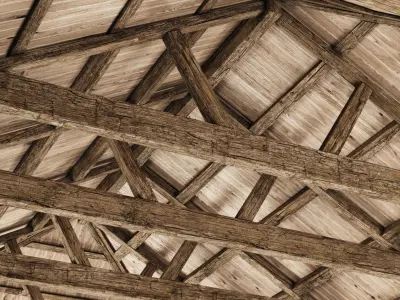 Wooden Ceiling V10  3D model