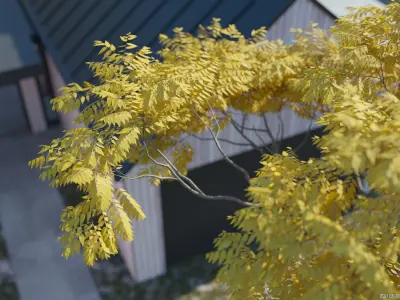 Maxtree Plant Models Vol 26 - Mesh 3D model