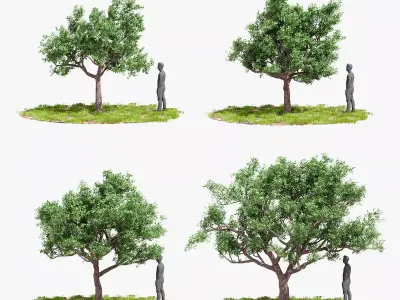 Model tree010 with looped wind animation 3D model