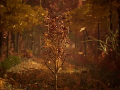 Deciduous Trees 200 Assets Low-poly 3D model