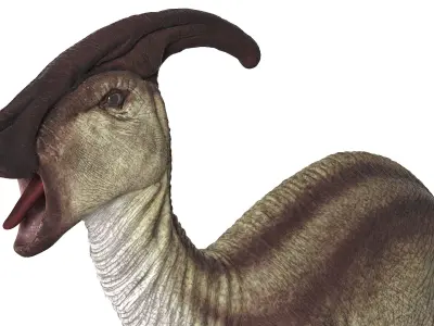  Herbivorous Dinosaurs Rigged Collection 2 