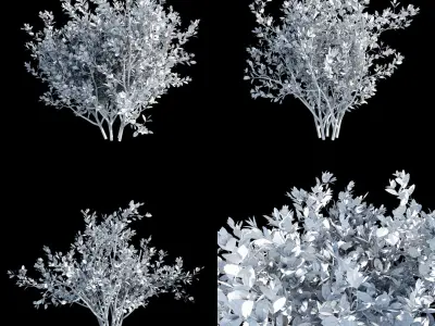  Bushes and Shrubs Collection 