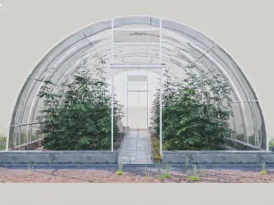 Cannabis Greenhouse with Plants 3D model
