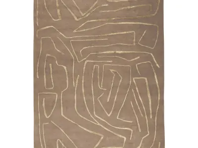 Tableau Salmon RUG 3D model