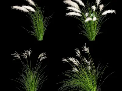 Ornamental Bushes For Landscape Design 1131 3D model