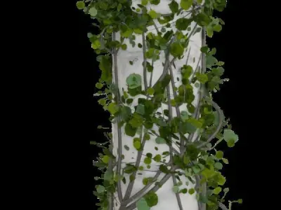 Pillar Overgrown by Vines 3D model