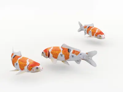  Koi Fish 1 (Animated) 