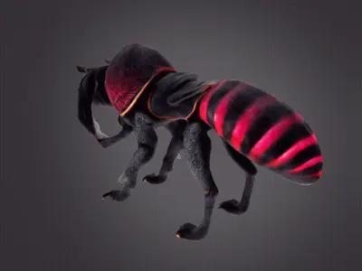 Beetledog 3D Model 3D print model