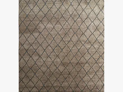 Restoration Hardware Rugs 134 3D model