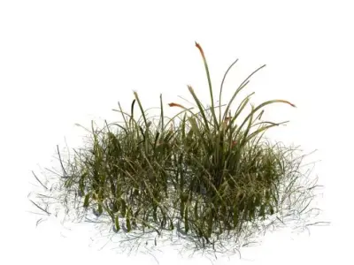 Model Simple Grass 3D model