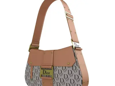 Dior Street Chic Bag Brown Black Print 3D model