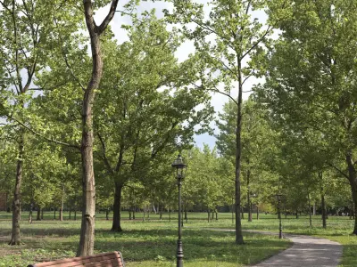 Quercus collection 3D model