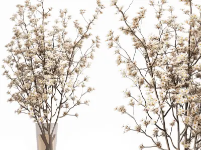 Collaction Plants Bouquet 11 3D model