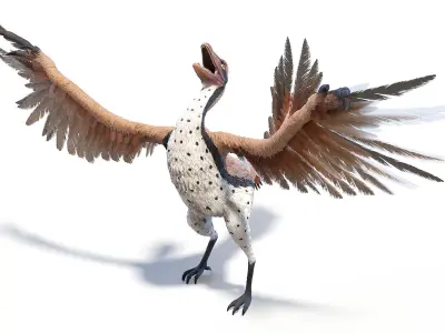  Archaeopteryx Animated 