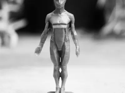 Male Planes of the Body - John Asaro 3D model