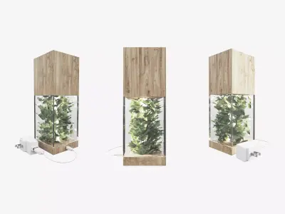 Planty Lamp 3D model