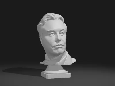 Elon Musk portrait sculture 3D print model