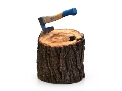 Log with small axe 3D model