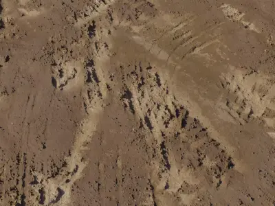 Muddy Rutted Ground Texture Texture