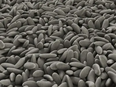 Pebble oval low n4 3D model