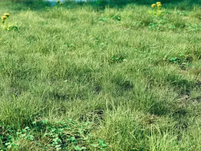 Realistic Grass Pack - CGrass v2 3D model