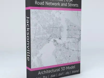 Jacksonville Road Network and Streets 3D model