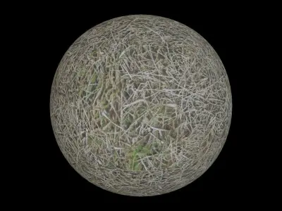 Dry Grass  3D model