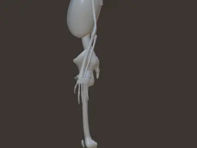 Skeleton Free low-poly 3D model