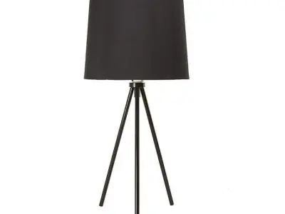 Dunneback Contemporary Tripod Table Lamp Free 3D model