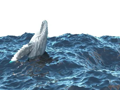 Humpback Whale Is Jumping and Breaching In The Ocean 3D model