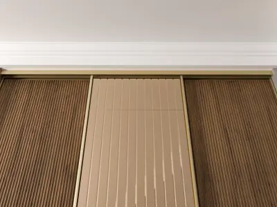 Sliding door mirror and wood door 3D model