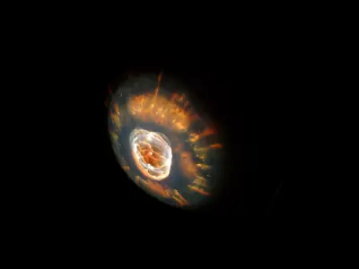 Eskimo Nebula 3D model