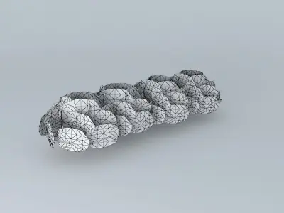 Street trees taquari Free 3D model